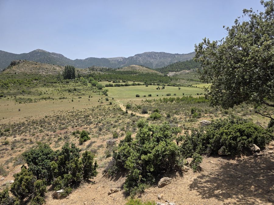 Valle con pastos y matorral