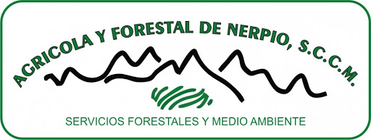Agrícola y Forestal de Nerpio, Sociedad Cooperativa